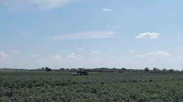 Long shot. The tractor is working in the field. Loosen the soil and spray pest control video