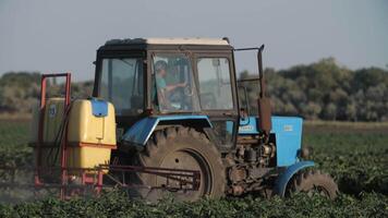 pesticida pulverizador trator trabalhando em uma ampla verde campo. Segue em a lado uma trator pulverização trigo campo contra doenças. agricultor pulverização vegetal Campos. video