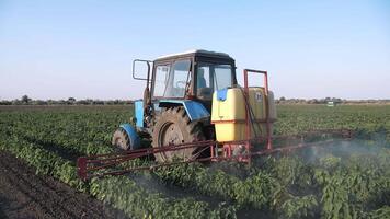 Pesticide Sprayer Tractor working on a large green field. Sprays vegetable beds with pest repellent video