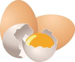 An egg cracked open and an egg shell vector