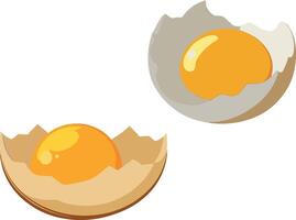 Two eggs in an eggshell on a white background vector