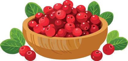 Cranberries in a bowl vector