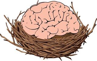 A brain in a nest with twigs and leaves vector