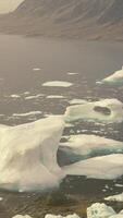 A mesmerizing view of icebergs floating on calm waters video