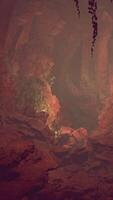 A serene cave filled with lush trees and scattered rocks video