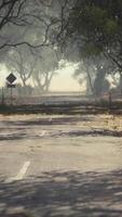 un idyllique pays route doublé avec des arbres et une rustique clôture video