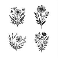 Drawing of the line of a calendula flower vector