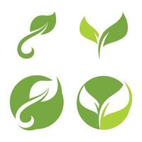 Four green leaves in circular shapes vector