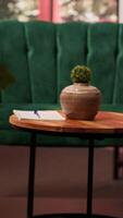 Empty luxurious psychiatry interior office equipped with modern furniture and flowers, comfortable safe space used for listening to clients issues. Counseling session for mental health problems. video