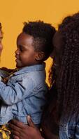 Vertical Portrait of african american family with a small boy posing in studio, showing affection and love towards each other and feeling happy. Grateful husband and wife holding their toddler. Camera A. video