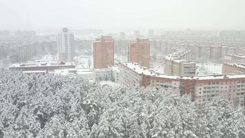 View from the height of the winter forest with snow-covered trees in winter and a residential complex of houses video
