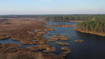 View from the height of the lake Papernya in Belarus. The Nature Of Belarus video