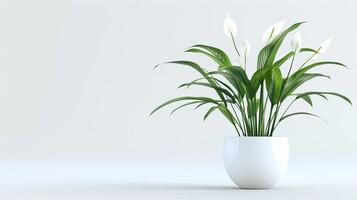 A white vase with green leaves in it photo