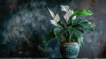 A vase with white flowers sitting on a table photo