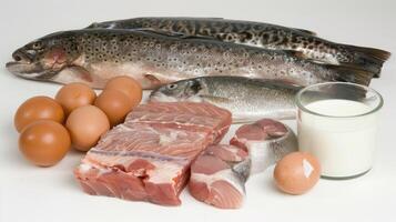 Fish, eggs, milk and meat on a white background photo