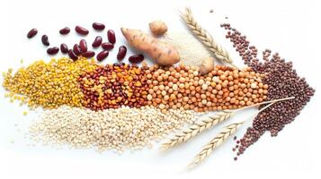 A variety of grains and beans are arranged in a circle photo