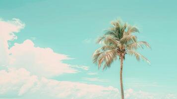 A palm tree stands in front of a blue sky photo