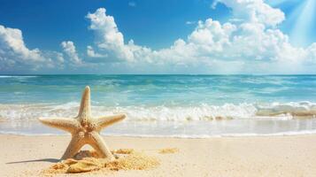 Starfish on the beach with blue sky and sun photo