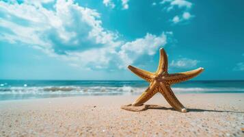 A starfish on the beach with blue sky and clouds photo