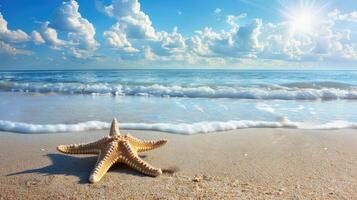 A starfish on the beach with waves and sun photo
