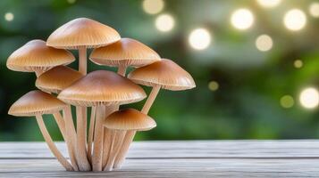 Mushrooms are growing on a wooden table photo