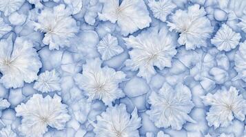 Blue and white flowers on a blue background photo