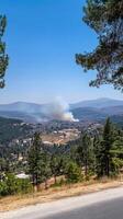 A view of a fire in the distance from a highway photo