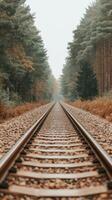 A train track in the woods with trees on either side photo