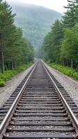 A railroad track in the middle of a forest photo