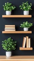 Three wooden shelves with books and plants on them photo