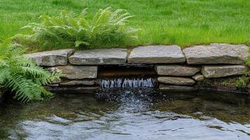 A small stream running through a grassy area photo