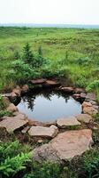 A small pond surrounded by rocks and grass photo