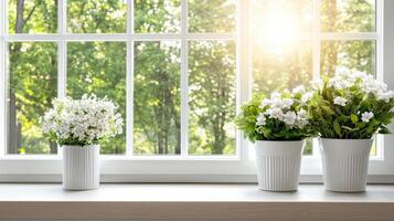 Three white vases with flowers on a window sill photo