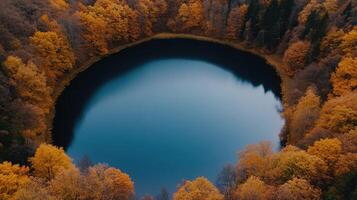 An aerial view of a lake surrounded by trees photo