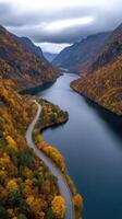 An aerial view of a winding road surrounded by trees photo