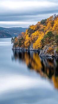 Autumn trees on the shore of a lake with a cloudy sky photo