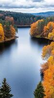 A lake surrounded by trees and fall foliage photo