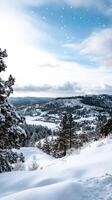 A snowy landscape with trees and snow photo
