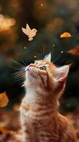 A cat looking up at a bird in the air photo
