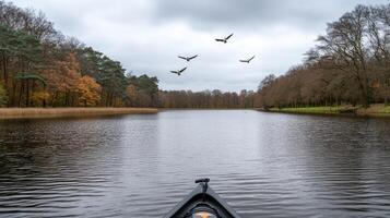 A canoe is in the water with birds flying over it photo