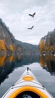 A kayak on a lake with two birds flying over it photo