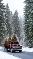 A truck carrying christmas trees down a snowy road photo