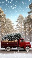 A red truck with a christmas tree in the back photo