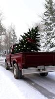 A red truck carrying a christmas tree down a snowy road photo