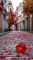 A red flower laying on the cobblestone street photo