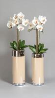 Two white orchids in a vase on a gray surface photo