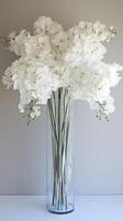 A vase filled with white flowers photo