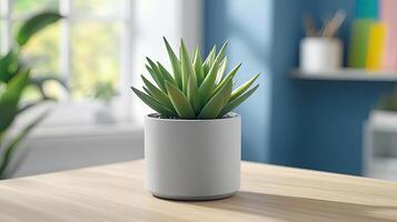 A plant in a white pot on a table photo
