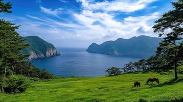 A horse grazing on a green hillside overlooking the ocean photo