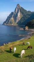 Horses graze on the grass near the ocean photo